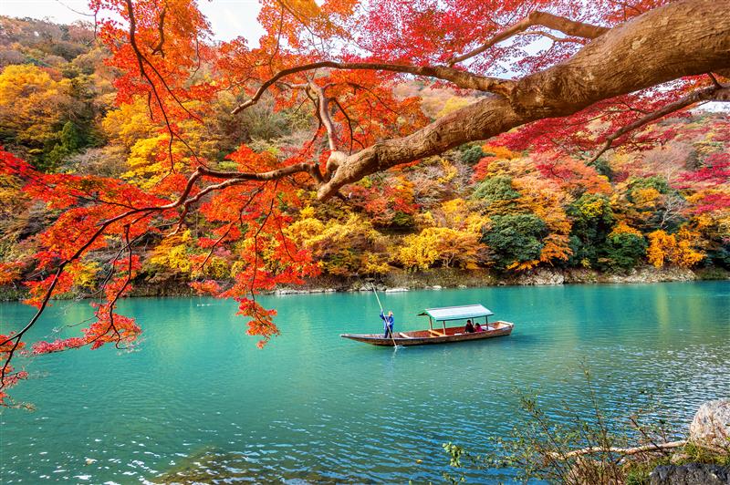 京都・奈良・びわ湖 | JTB 旅の過ごし方