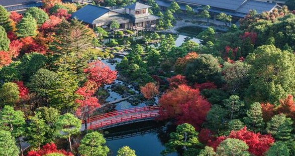 日本庭園  由志園（秋）