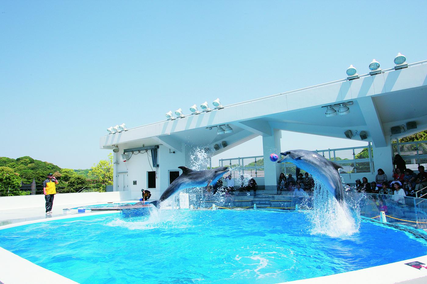 九十九島水族館海きらら