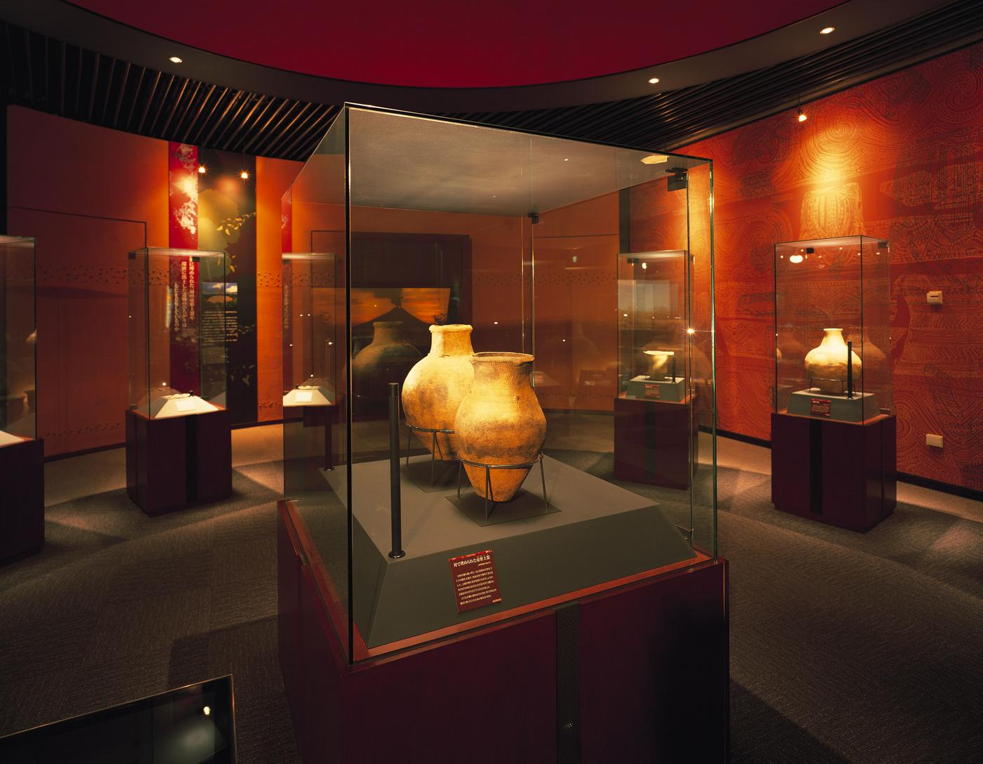 鹿児島県上野原縄文の森 イメージ