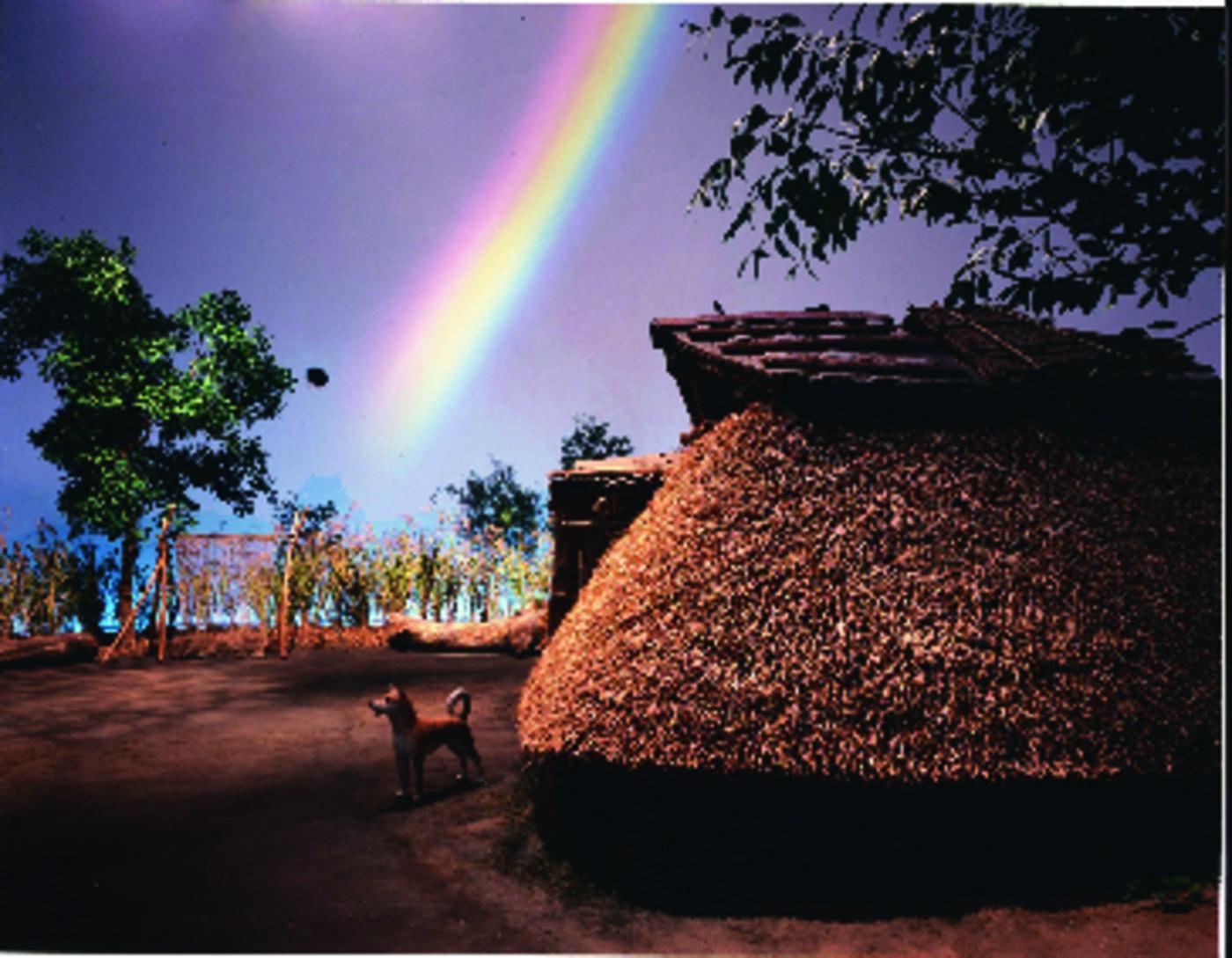 時遊館COCCOはしむれ イメージ