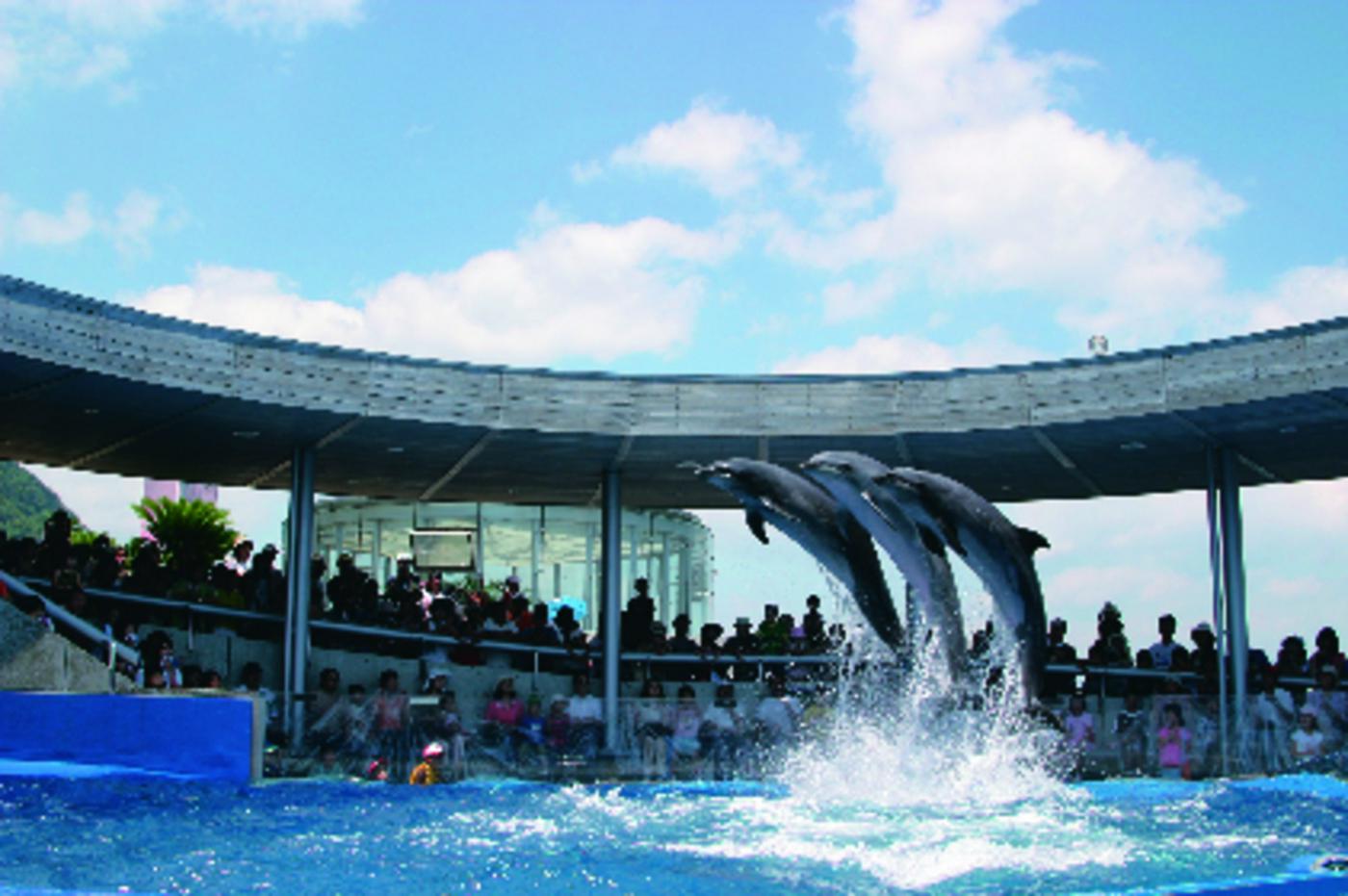 大分マリーンパレス水族館「うみたまご」