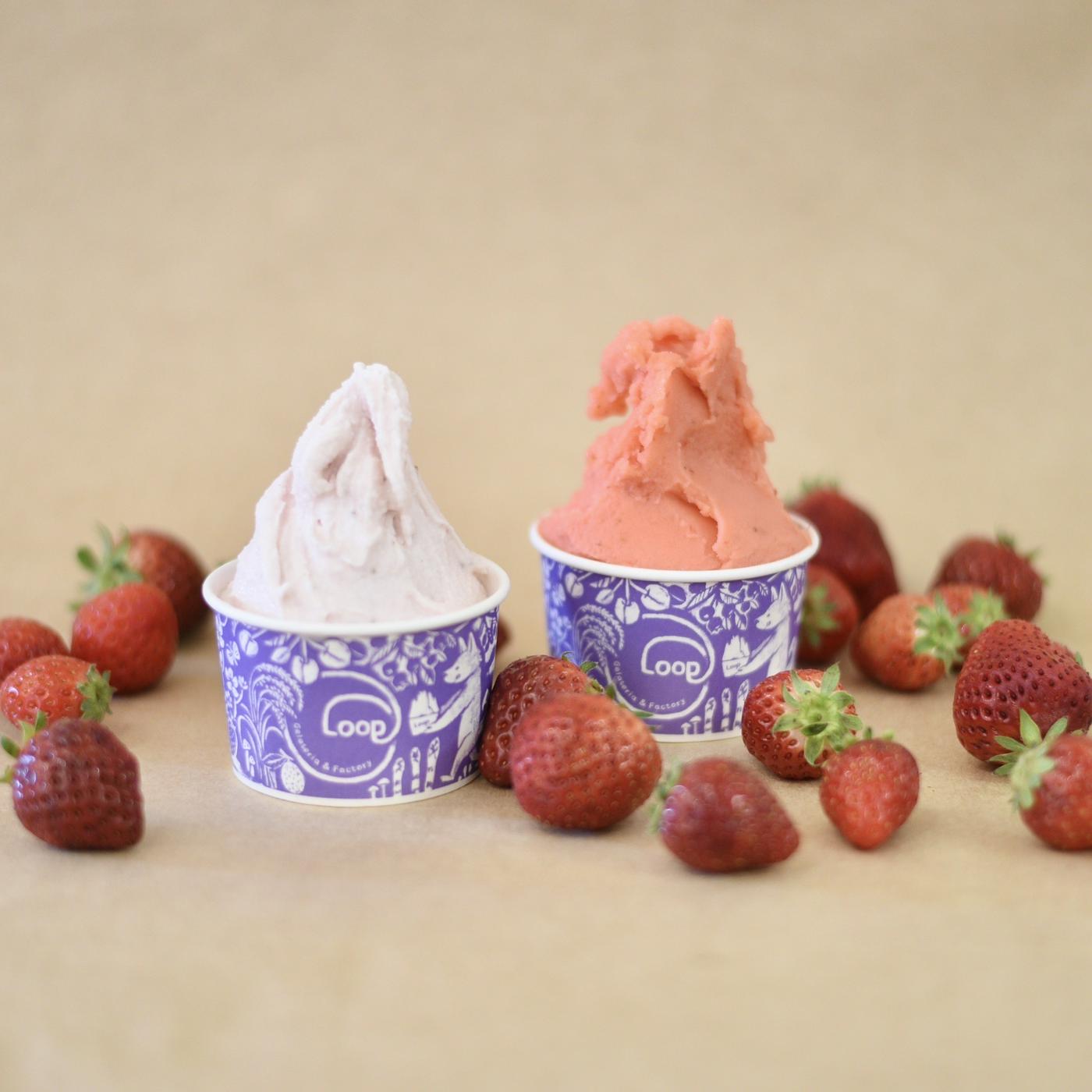 Gelateria & Factory Loop