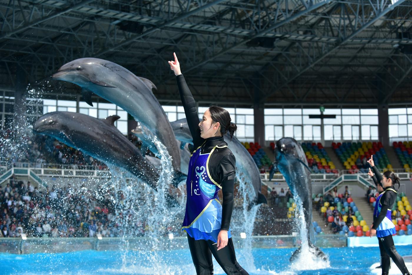 マリンライブ「Smiles」（イメージ）©AWS