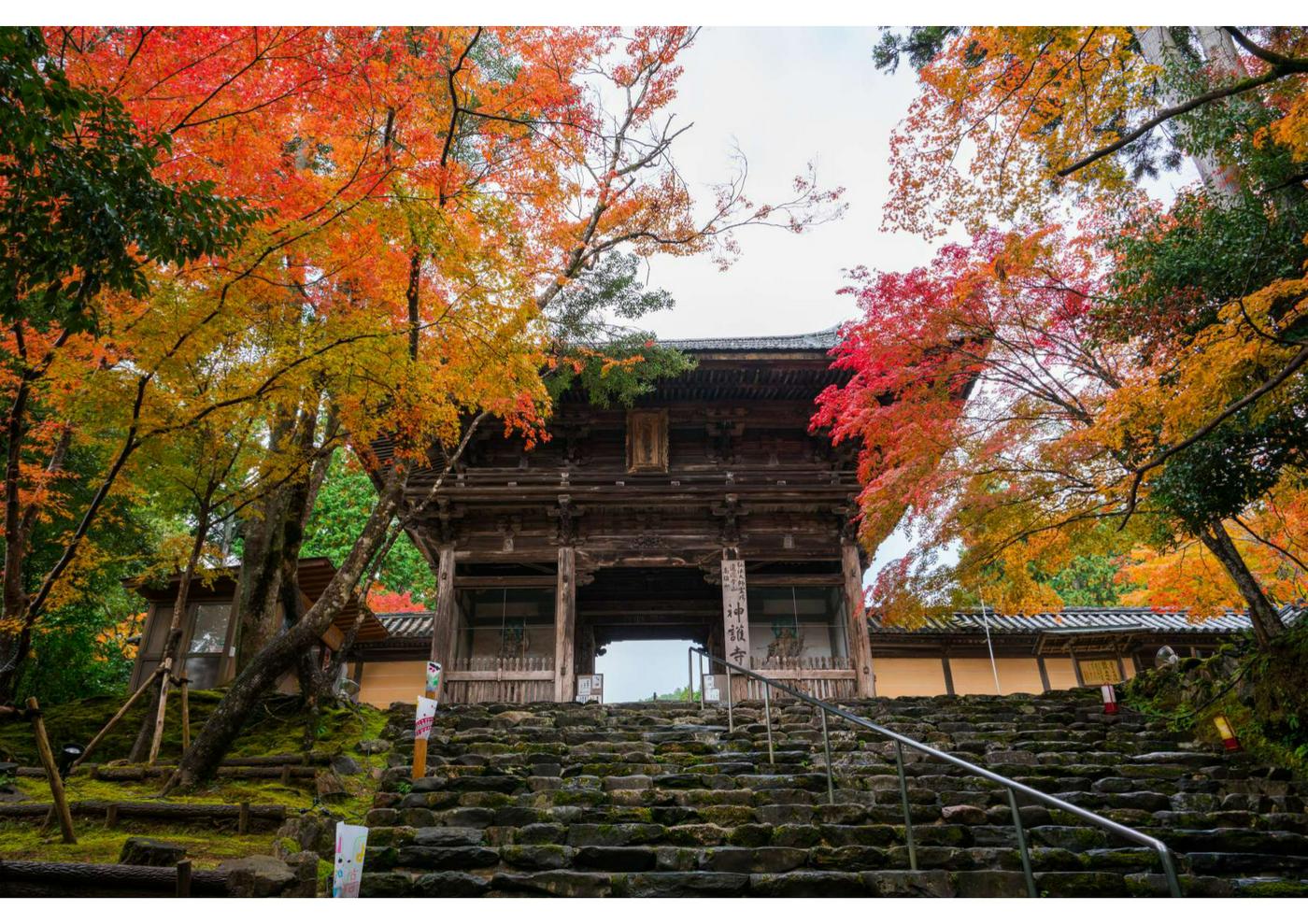 京都神護寺の紅葉