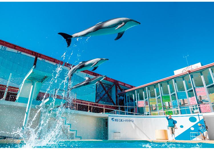 伊豆・三津シーパラダイス