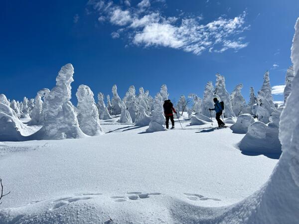 山形蔵王 樹氷