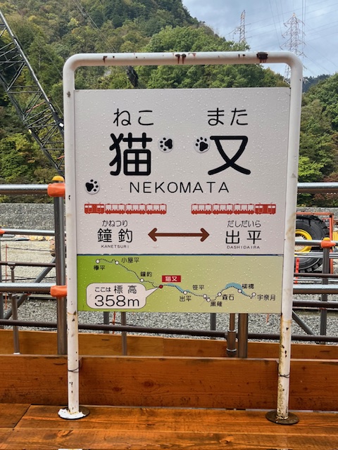 黒部峡谷鉄道トロッコ電車 「黒部宇奈月キャニオンルートガイドと歩く