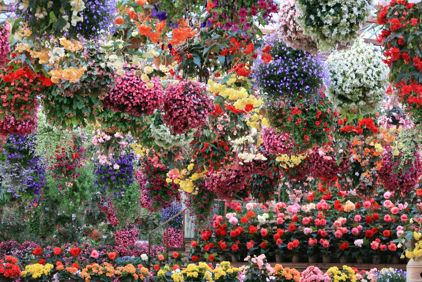 観光センター　いずも