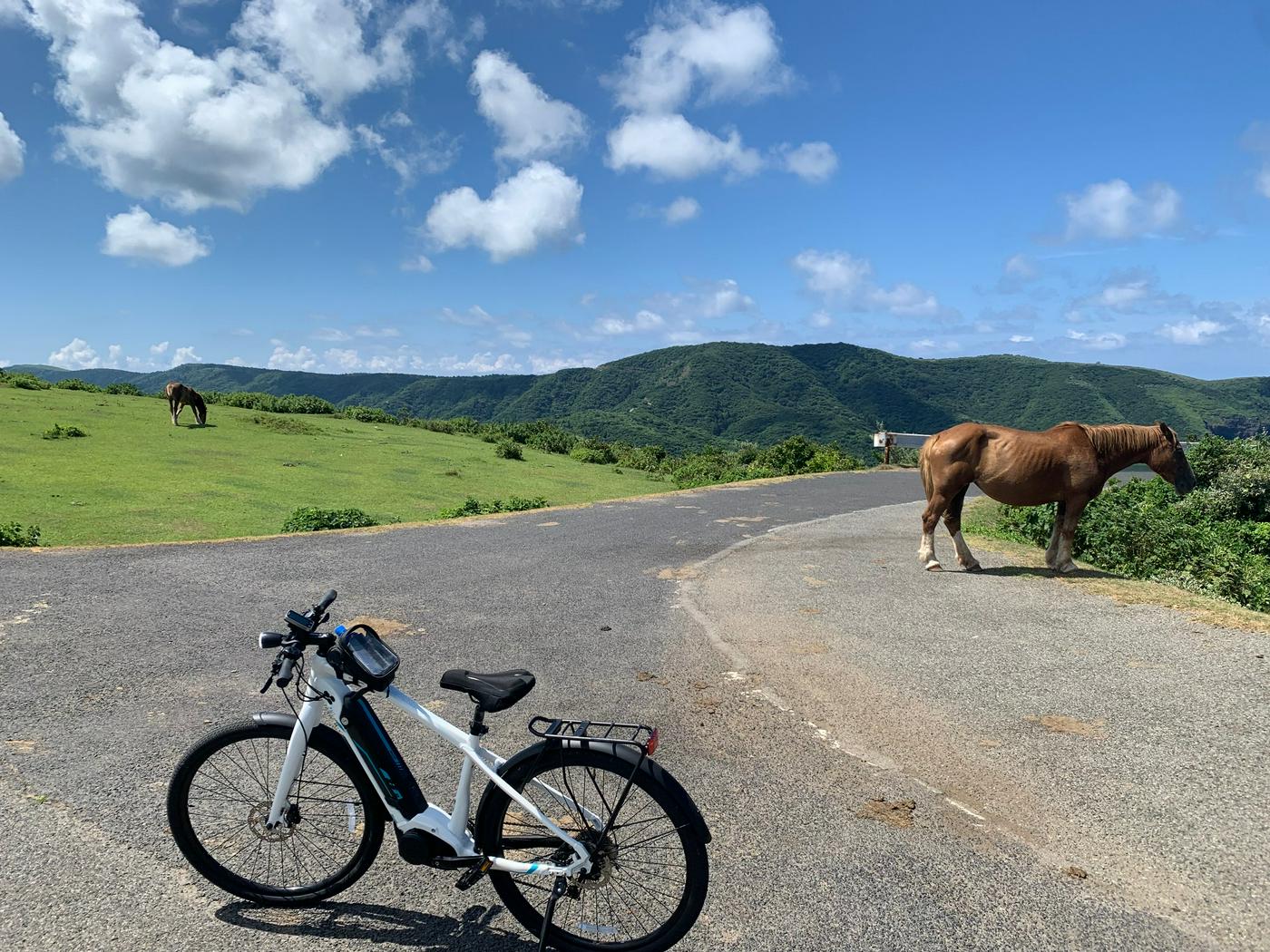 【西ノ島】西ノ島での利用 電動アシスト付E-BIKE 3時間