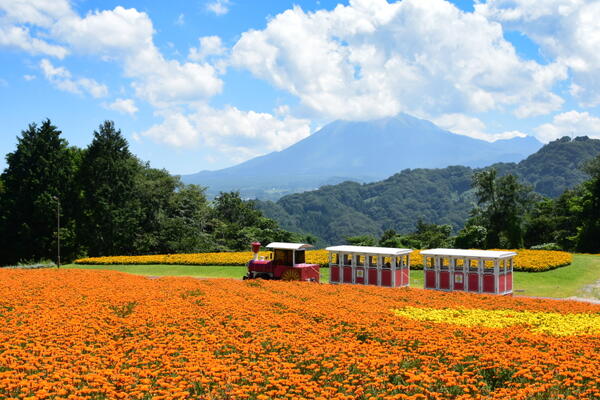 とっとり花回廊