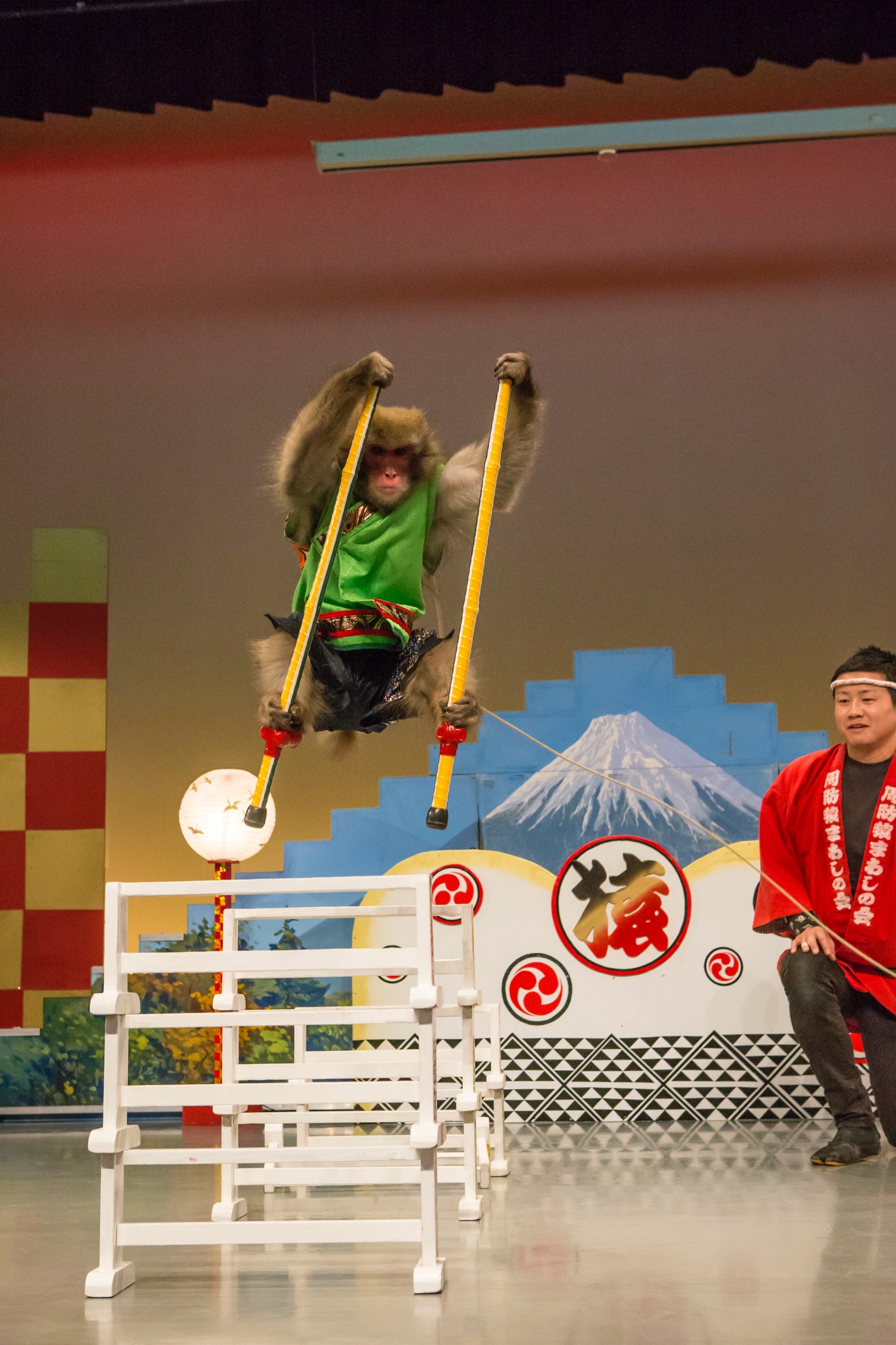 活動歴および当時の関連ビジュアル記録