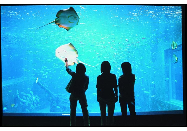 箱根園 水族館