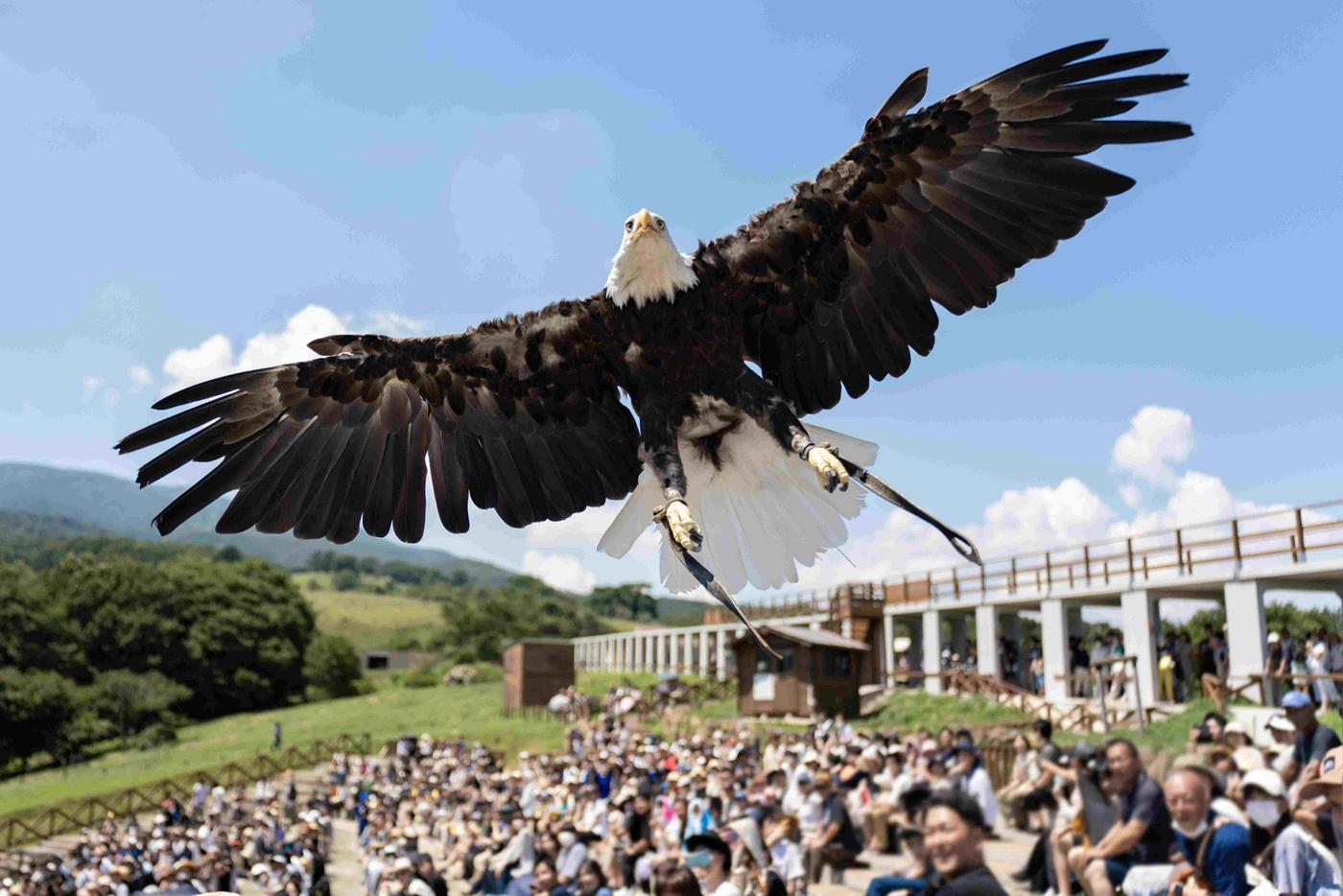 那須どうぶつ王国