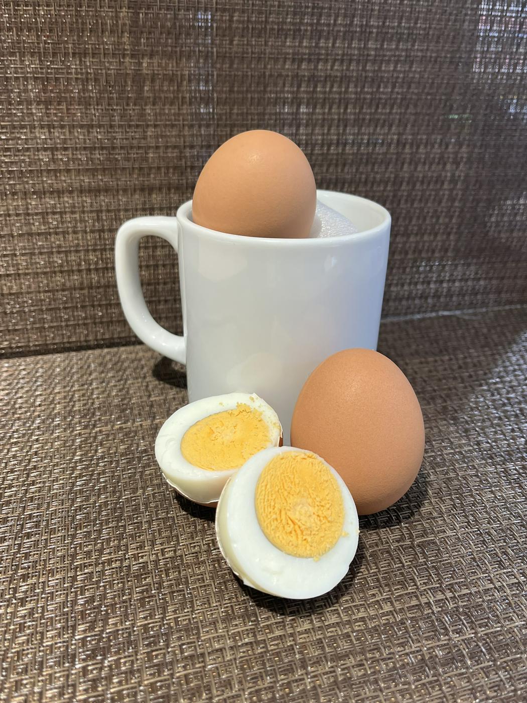 羽田裕 「霊峰富士」 油彩F6号 　十騎会々員 　点描リアリズム　ホキ美術館所蔵 What's new